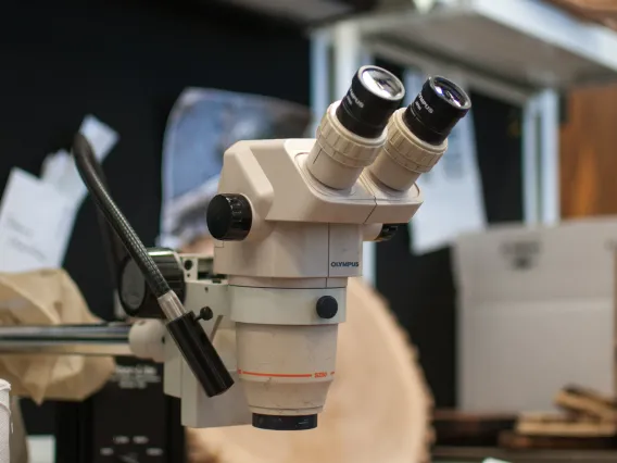 A microscope over a tree-ring sample.